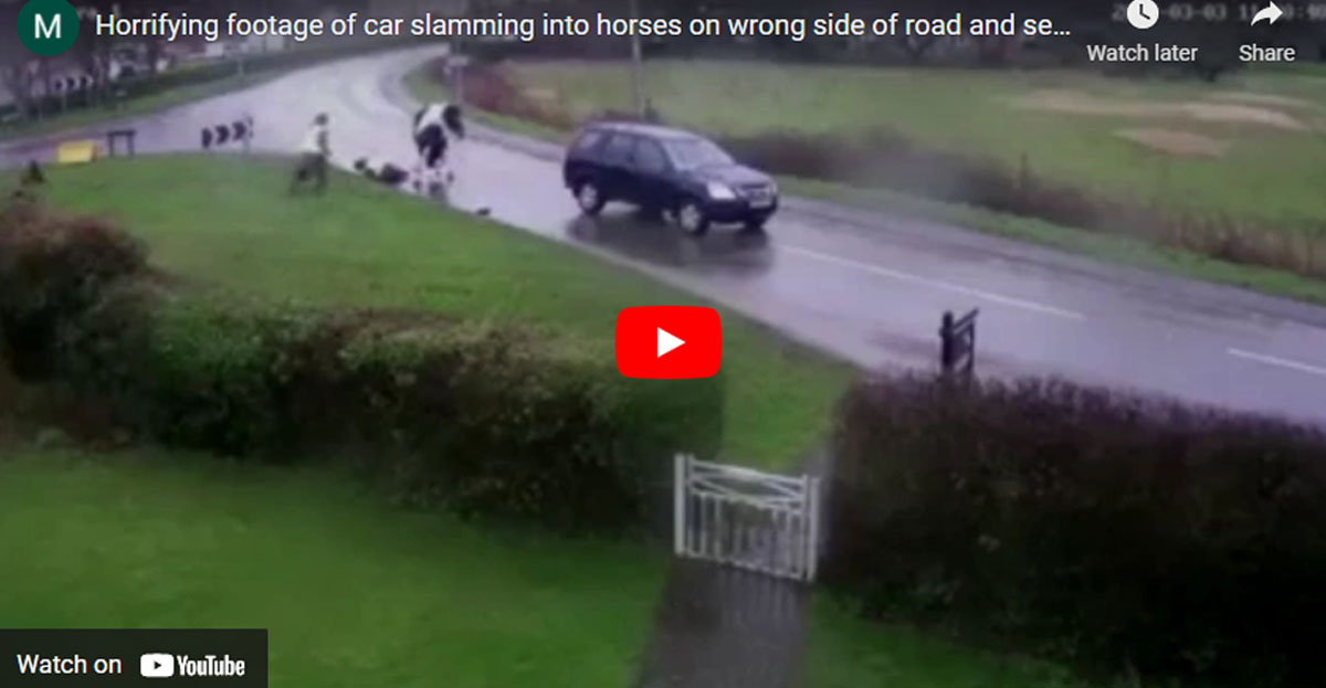 Horrifying footage of car on wrong side of road slamming into horses