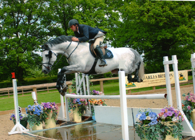 International Showjumping rider Andrew Davies