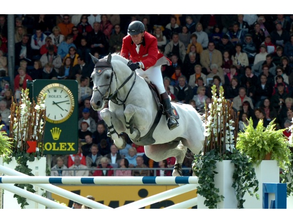 Cumano Z - Showjumping Stallion