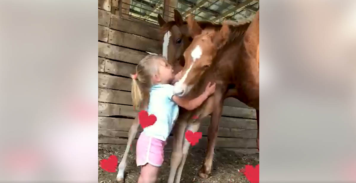 Such a cute foal.... such an adorable little girl