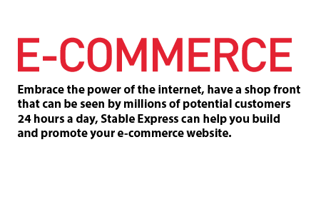 Ecommerce Website