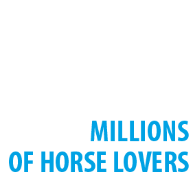 Facebook Advertising