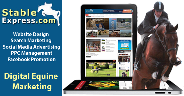 Web Marketing For Equine Companies
