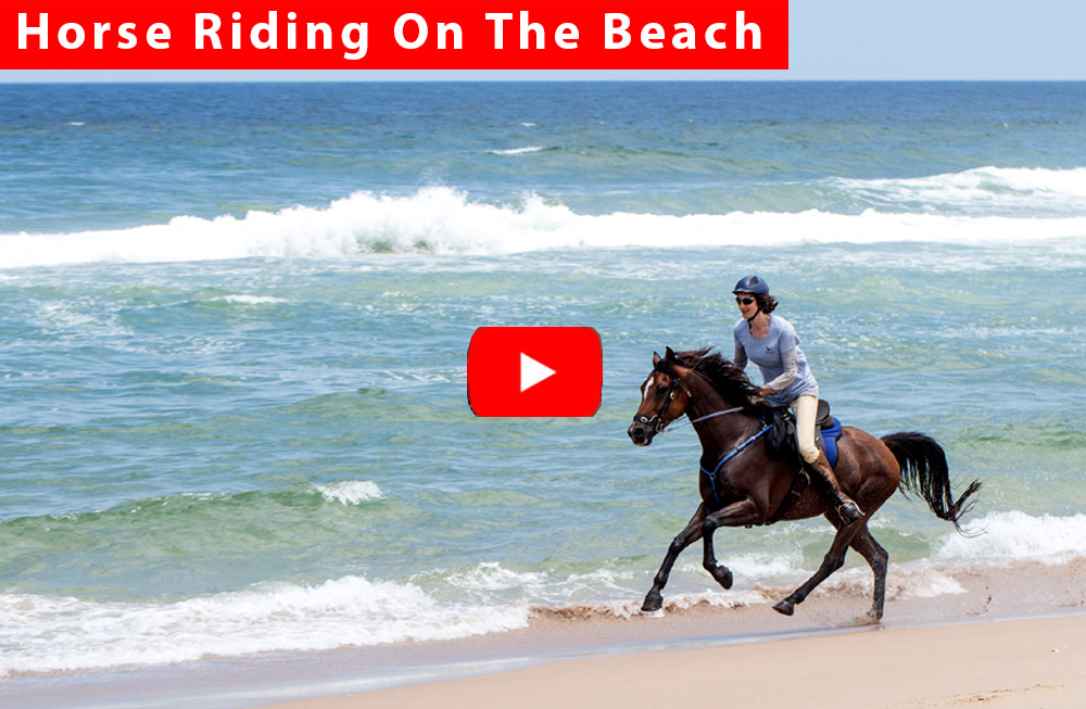 horse riding on the beach