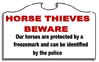 horse thiefs