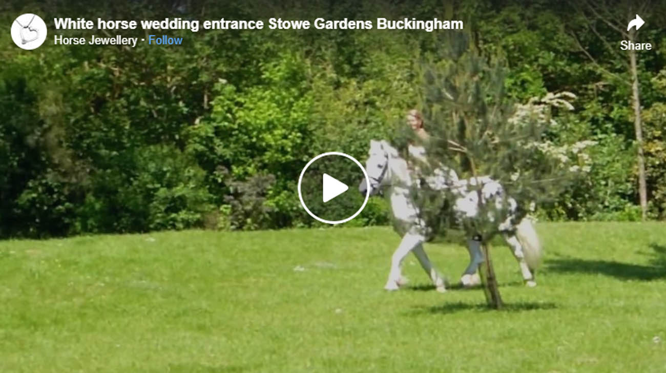 Horse Themed Weddings