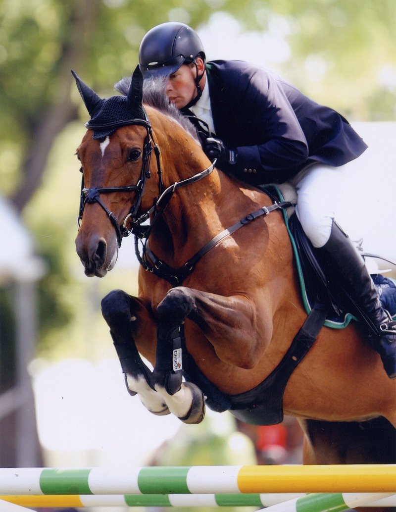 German Showjumper - Lars Nieberg & Lucie