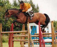 Show jumping horse