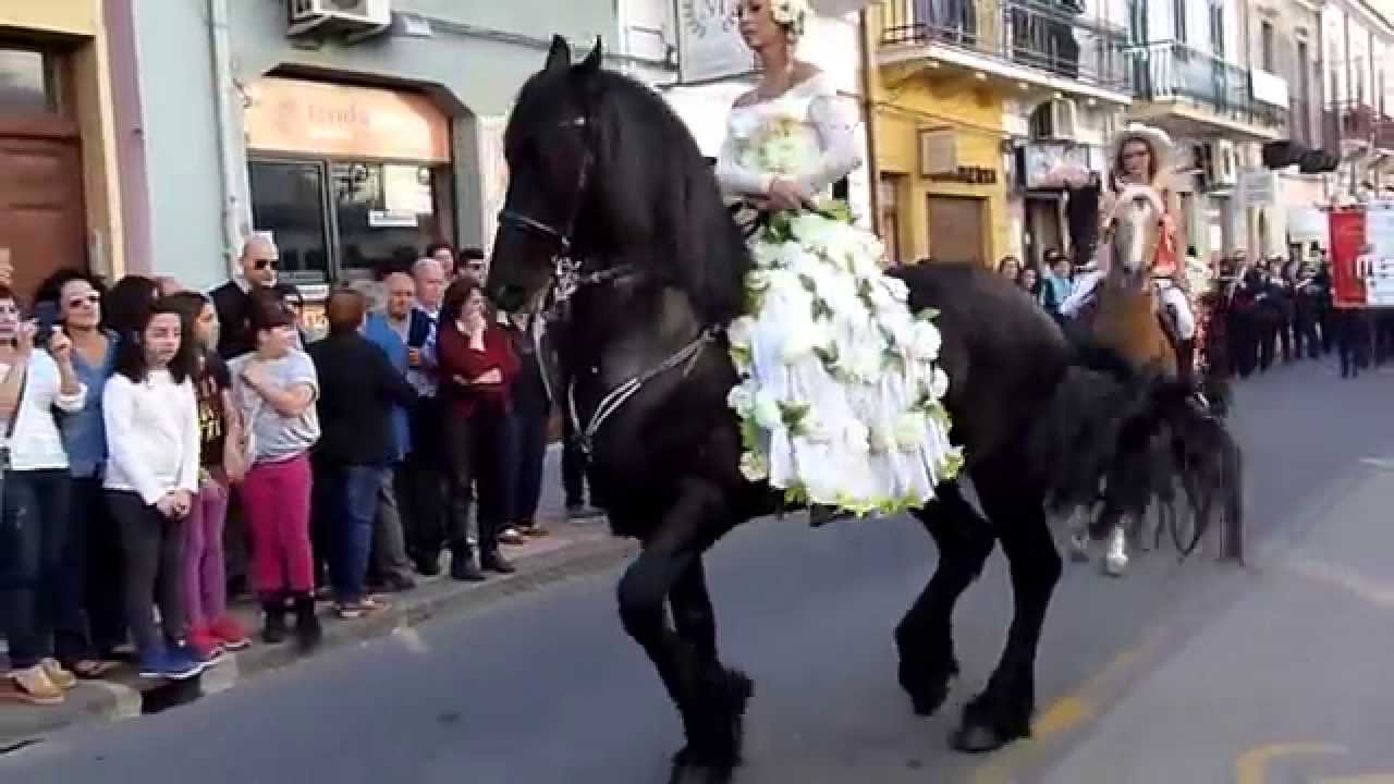 A majestic Friesian horse at the Santa Teresa di Riva Spring Festival