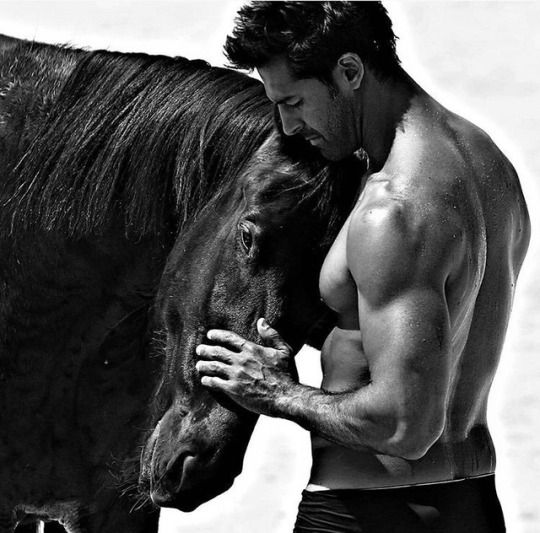 Man & Horses