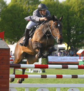 Paul Barker Showjumper