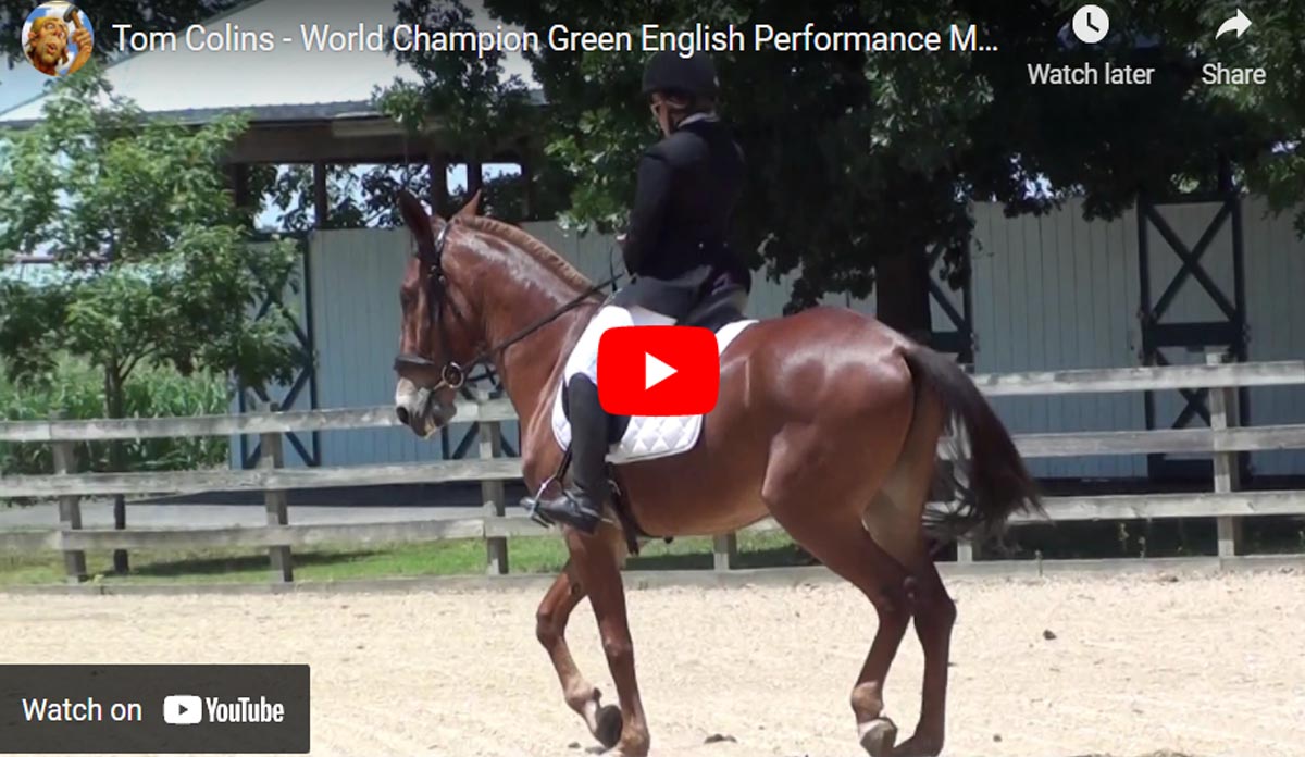 World Champion Performance Mule, Tom Colins