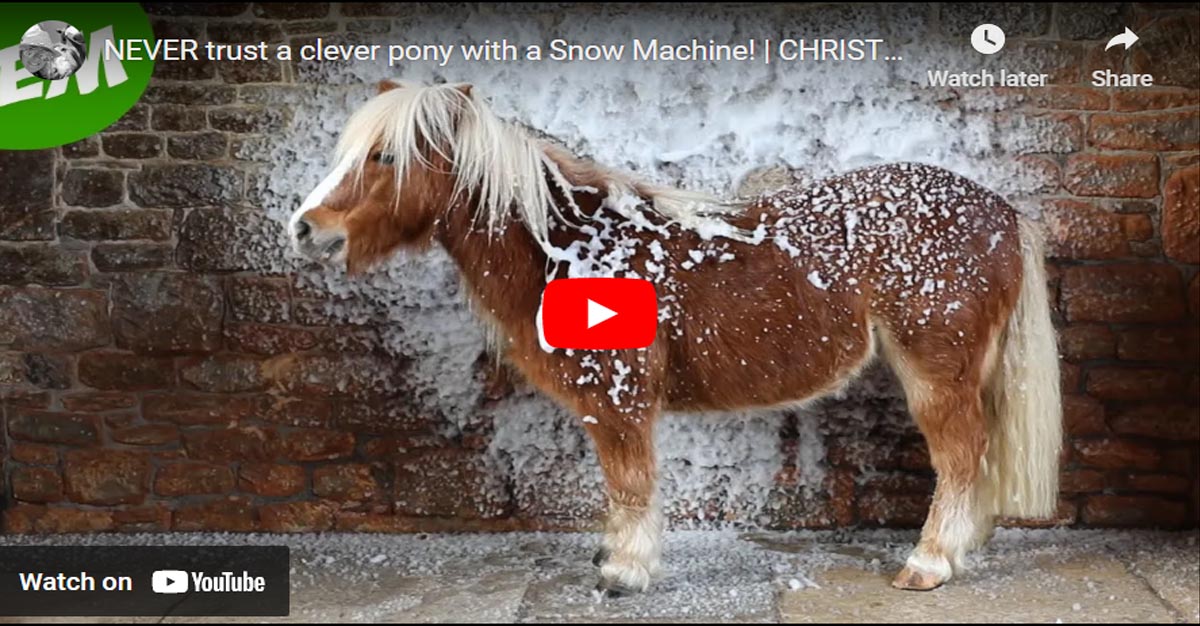 NEVER trust a clever pony with a Snow Machine