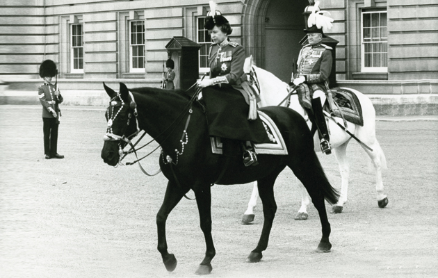 Horses Of Queen Elizabeth II