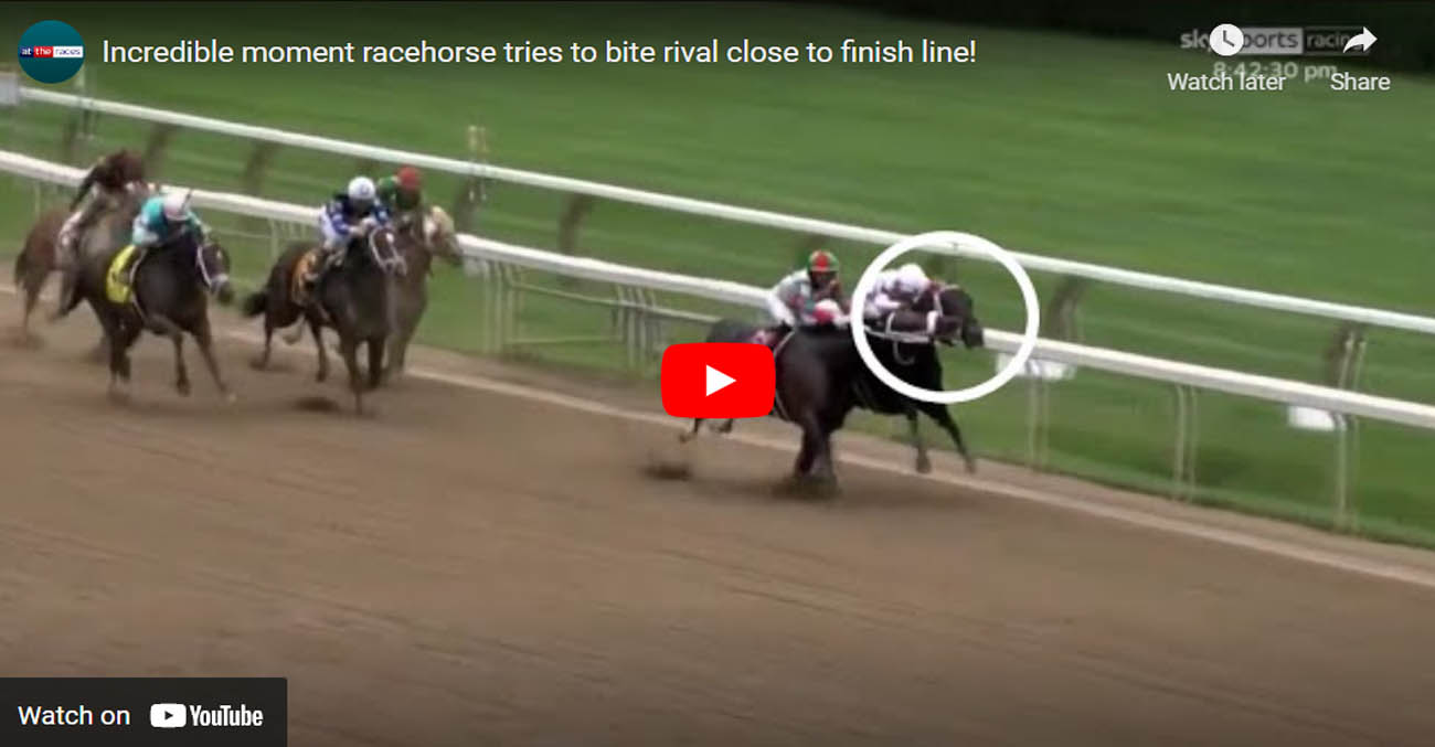 Incredible moment racehorse tries to bite rival close to finish line