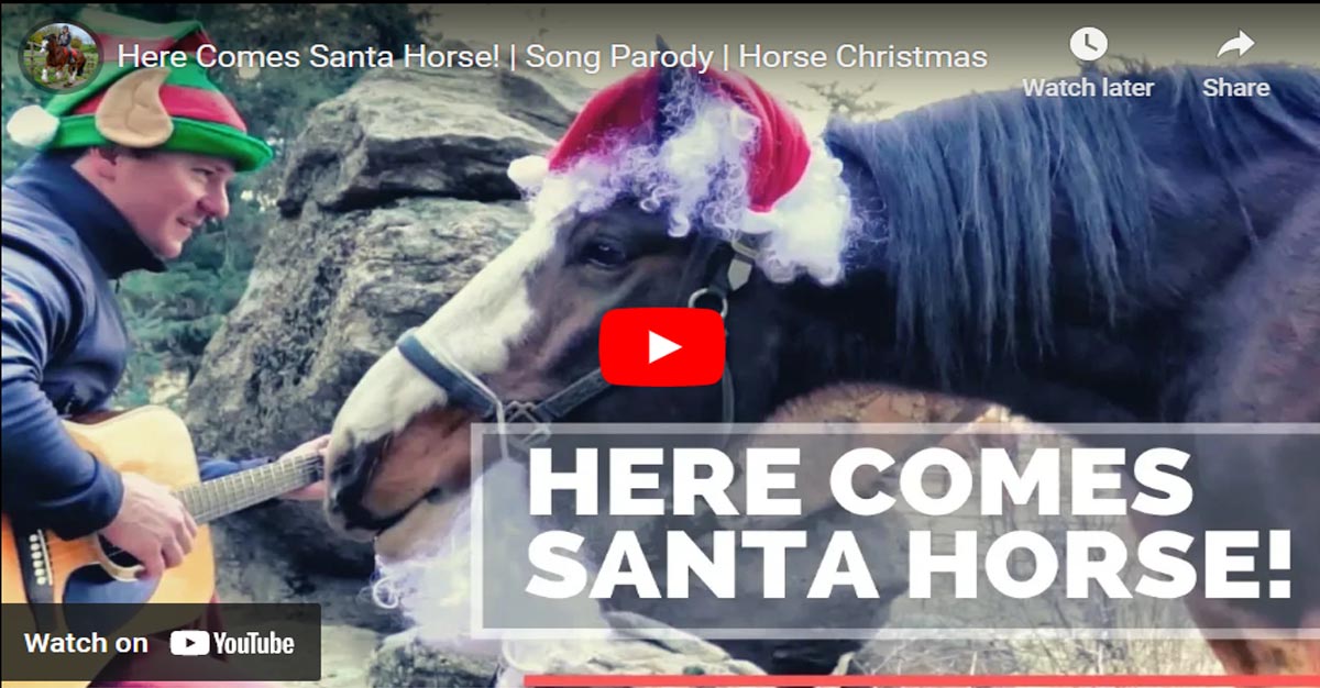 Here Comes Santa Horse