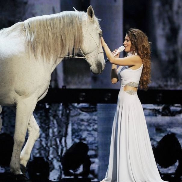 Shania Twain Horse