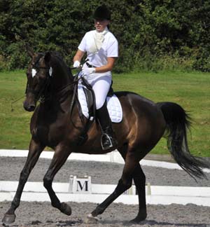 Samantha Morrison - Dressage Horse