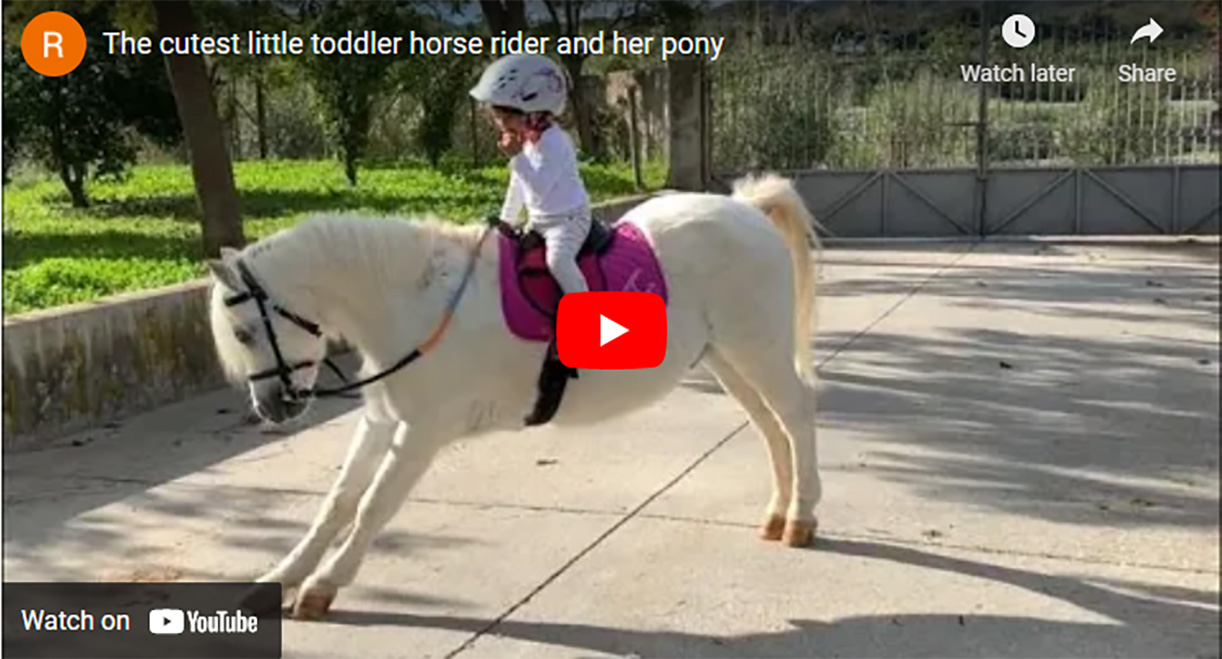 The cutest little toddler horse rider and her pony