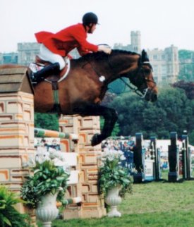 Windsor horse show Michael Whitaker & Calvaro Z