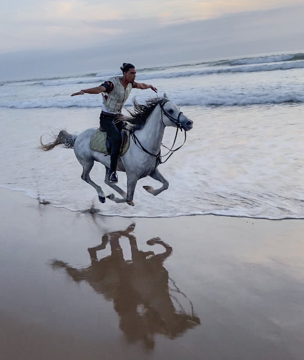 Horses Running Wild and Free @yassine_cavalier